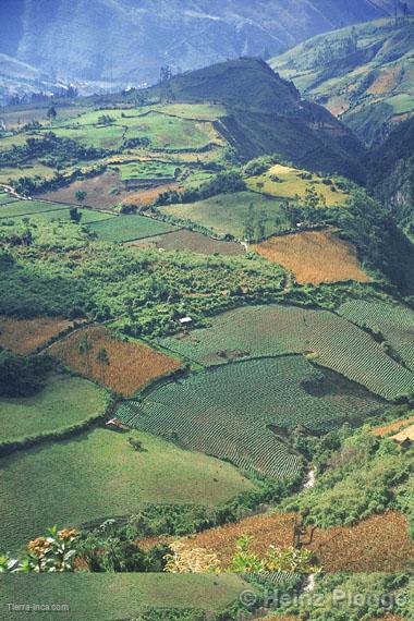 Vista del valle