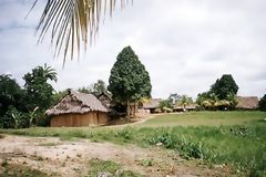 Casa tpica con rbol Poma Rosa, Nanay