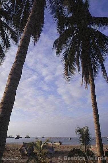 Clima en la regin de Piura