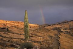 Santuario Nacional de Calipuy