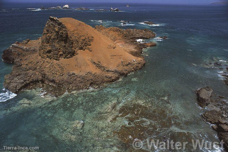 Playa de Guaape, Vir