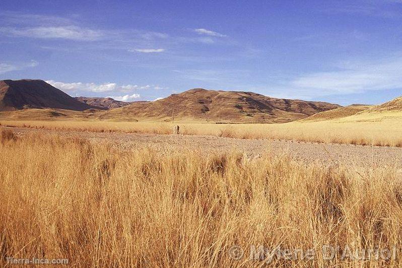 Vista de la Meseta del Collao