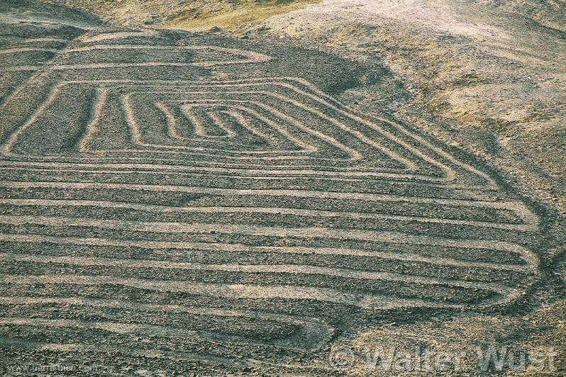 Geoglifos, Nazca