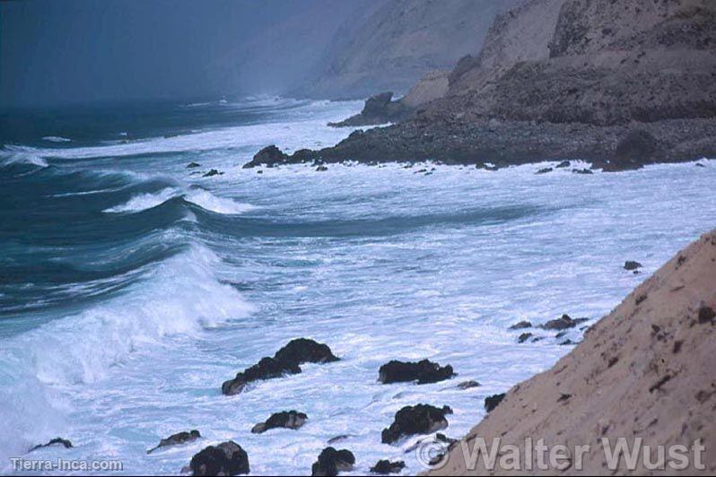 Litoral moqueguano