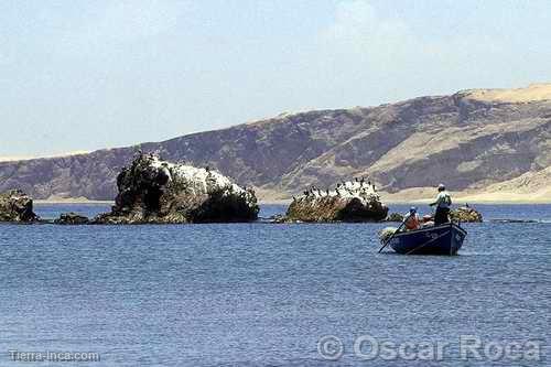 Litoral pisqueo, Pisco