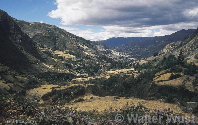 Campia cajamarquina, Cajamarca