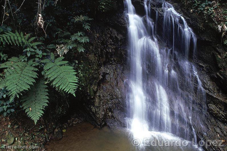 Cataratas en Moyobamba