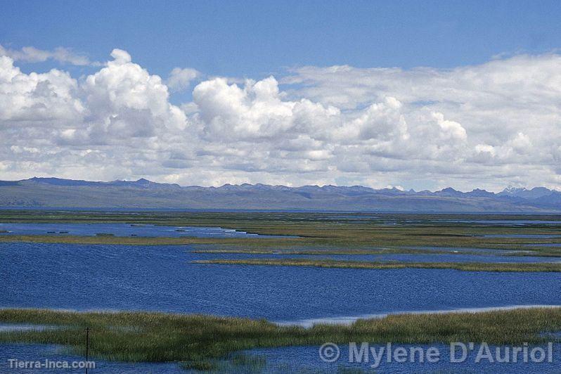 Lago Junín