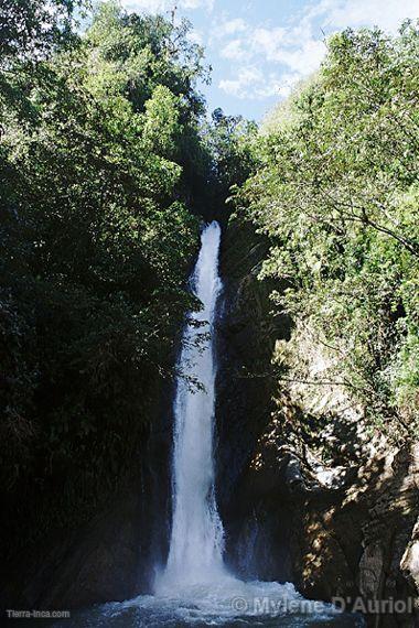 Catarata. Parque Nacional Yanachaga-Chemillén