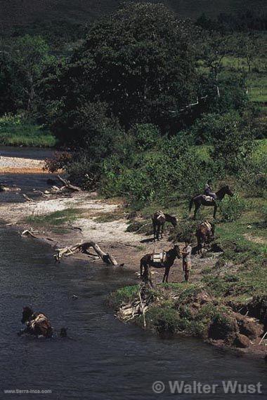 Río Chotabamba. Pasco