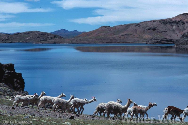 Laguna de Choclococha