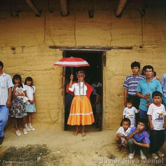 Carnaval y matrimonio nativo, Lamas