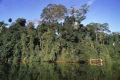 Reserva de Biosfera del Manu. Cuzco-Madre de Dios