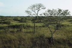 Santuario Nacional Pampas del Heath