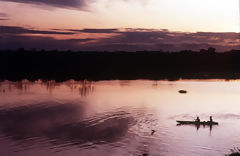 Selva baja, Iquitos