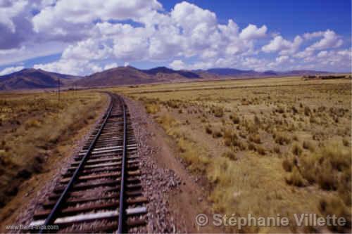 Tren entre Puno y Cuzco