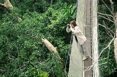 Observatorio de aves