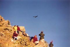 Vuelo del cndor, Colca