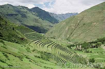 Andenera en Psac, Pisac