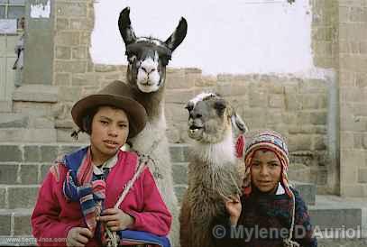 Nios en el Cusco, Cuzco