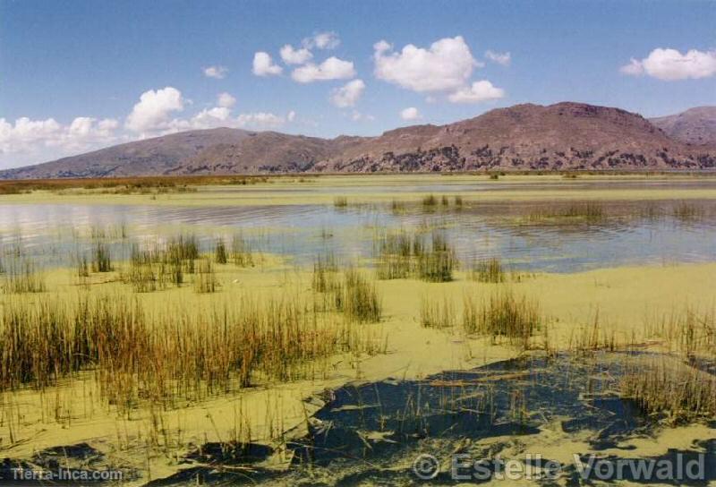 Lago Titicaca