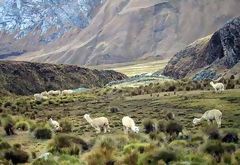 Cordillera Blanca