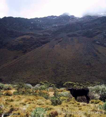 Cordillera Blanca