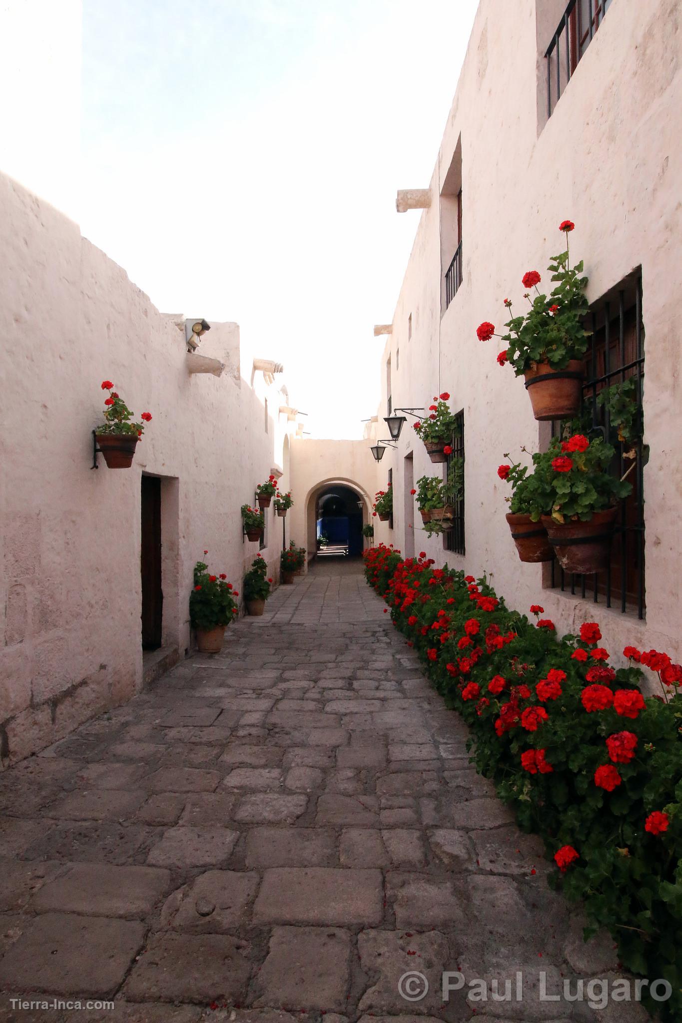 Convento de Santa Catalina, Arequipa