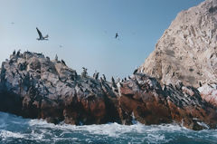 Islas Ballestas, Paracas