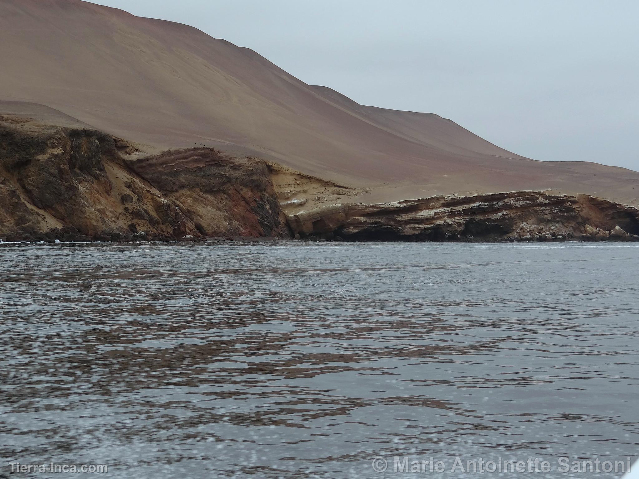 Islas Ballestas, Paracas