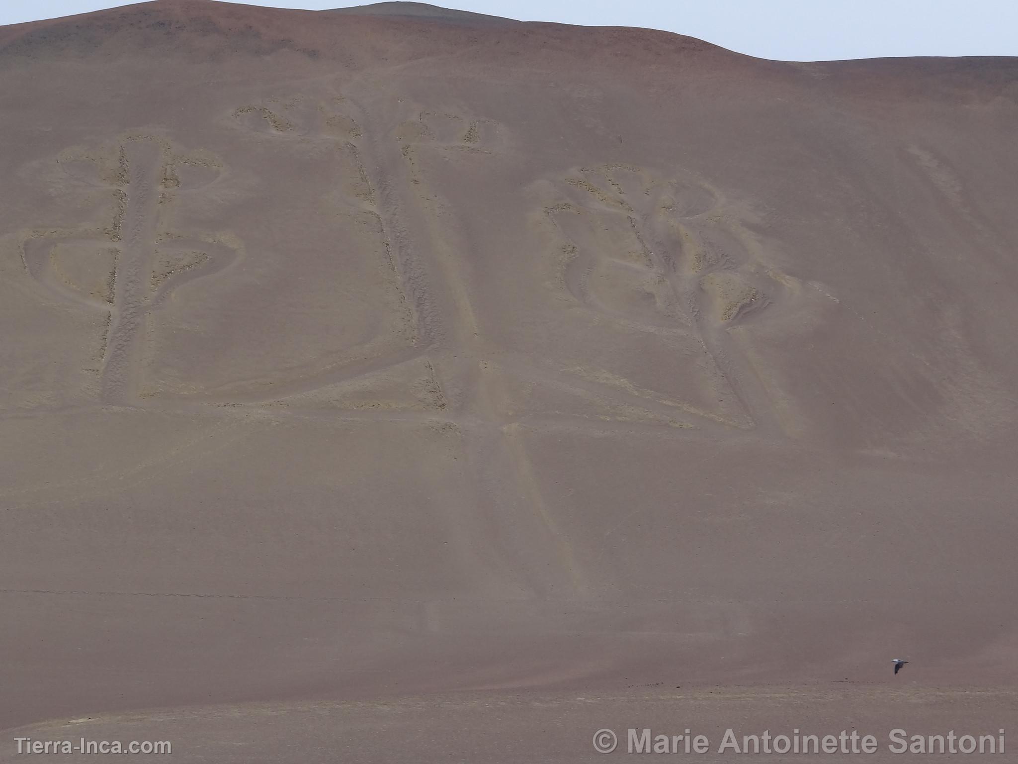 Islas Ballestas, Paracas