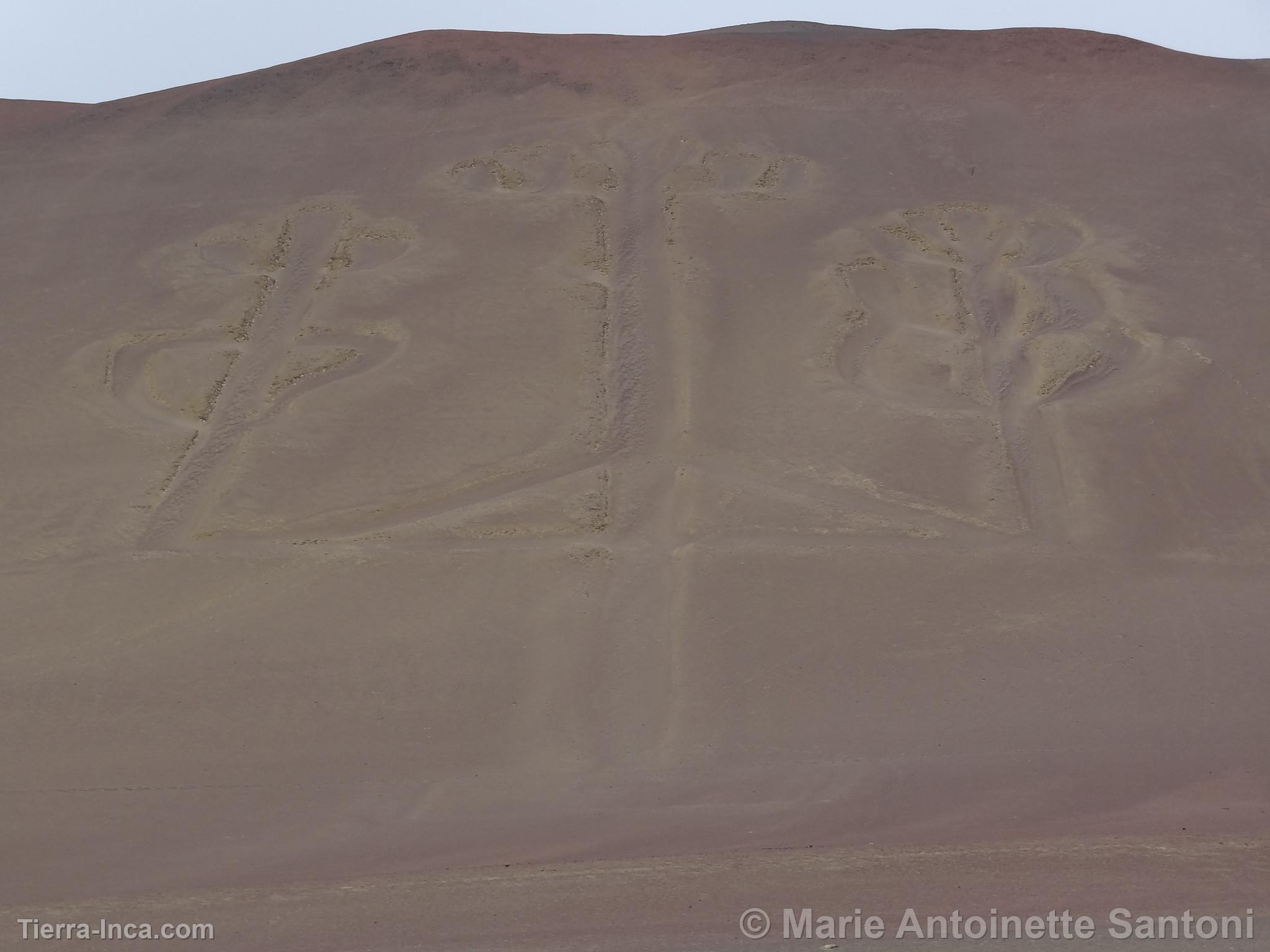 Islas Ballestas, Paracas