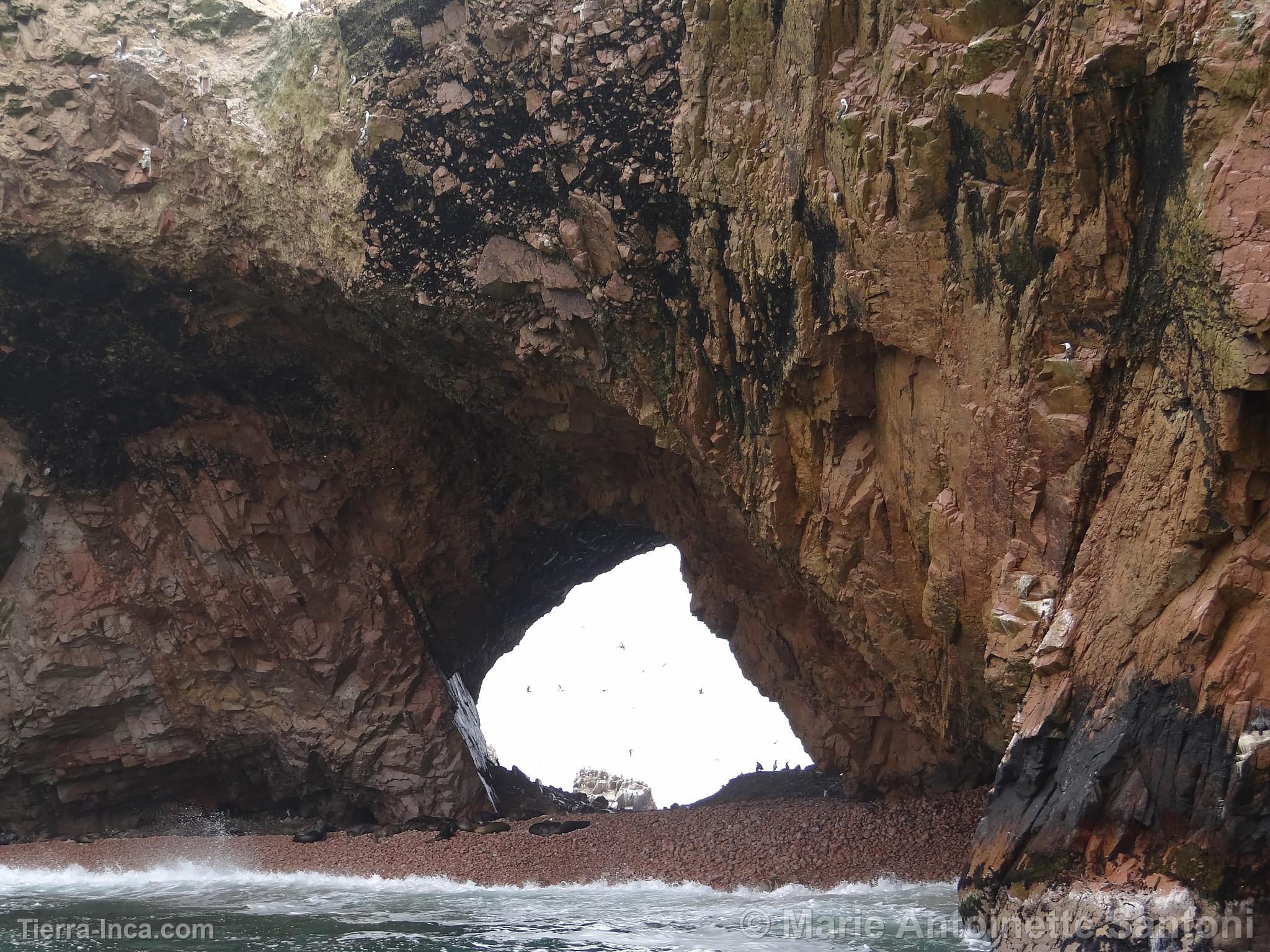 Islas Ballestas, Paracas