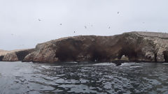 Islas Ballestas, Paracas