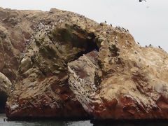 Islas Ballestas, Paracas