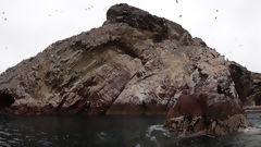 Islas Ballestas, Paracas