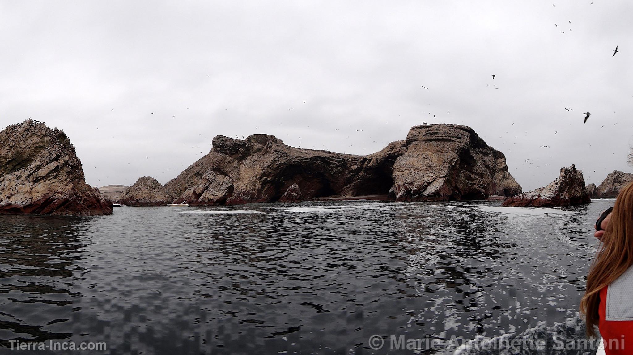 Islas Ballestas, Paracas