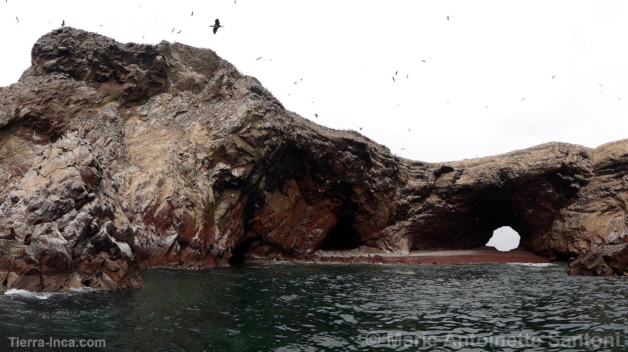 Islas Ballestas, Paracas