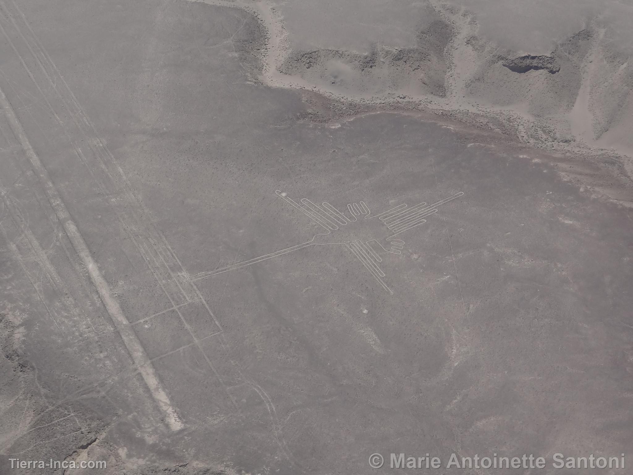 Lineas de Nazca