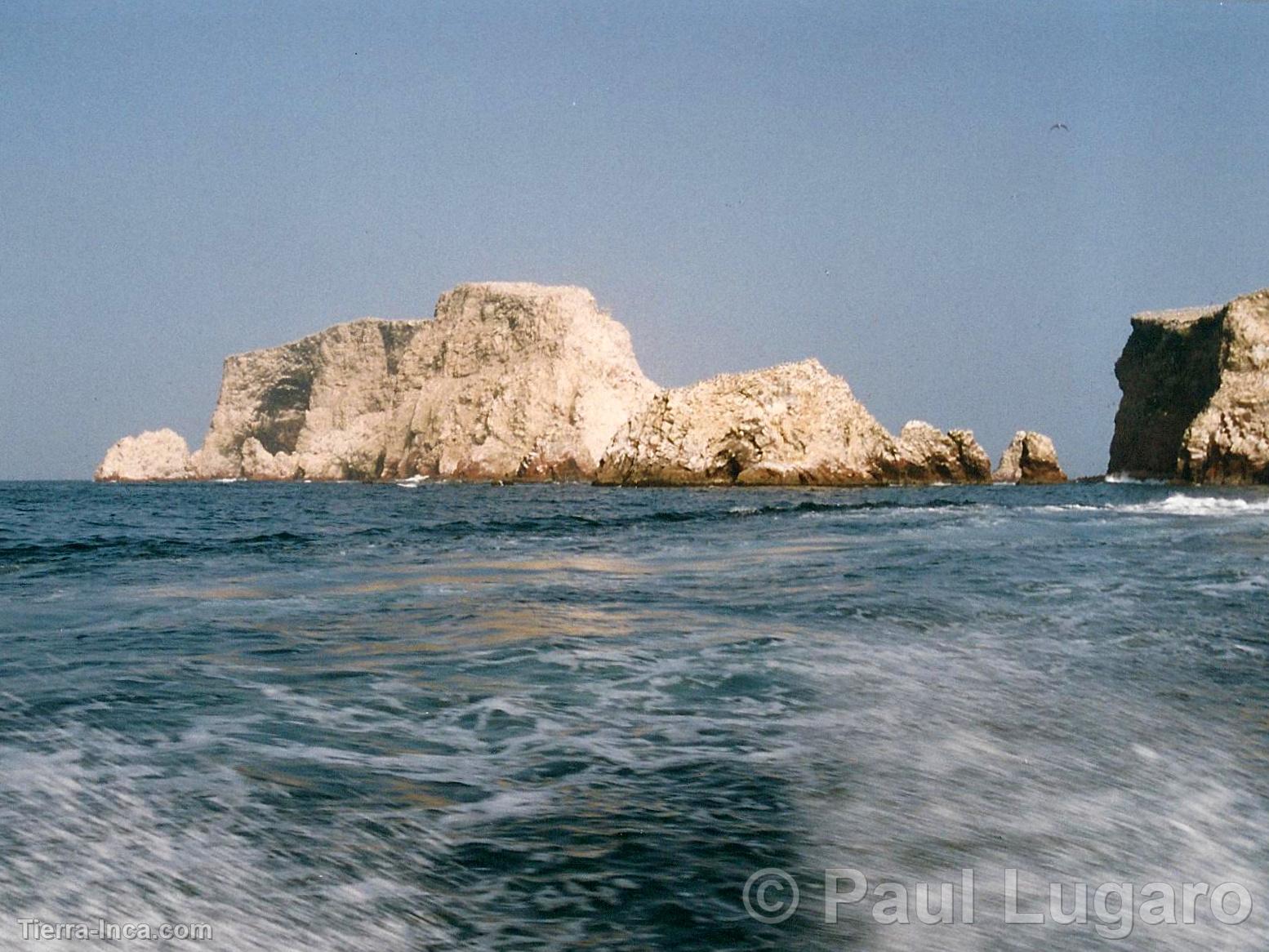 Islas Ballestas, Paracas