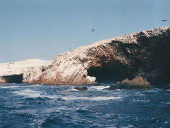 Islas Ballestas, Paracas