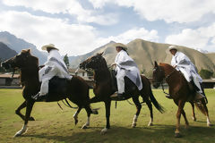 Caballos de paso