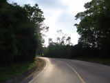 Carretera en la selva