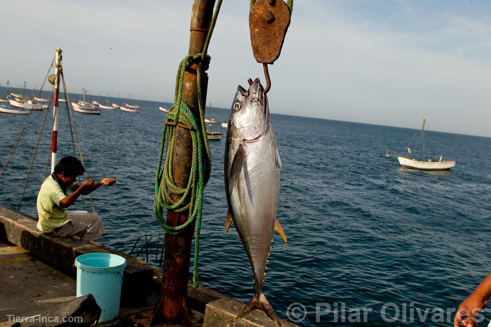 Pesca artesanal en la playa Los Órganos