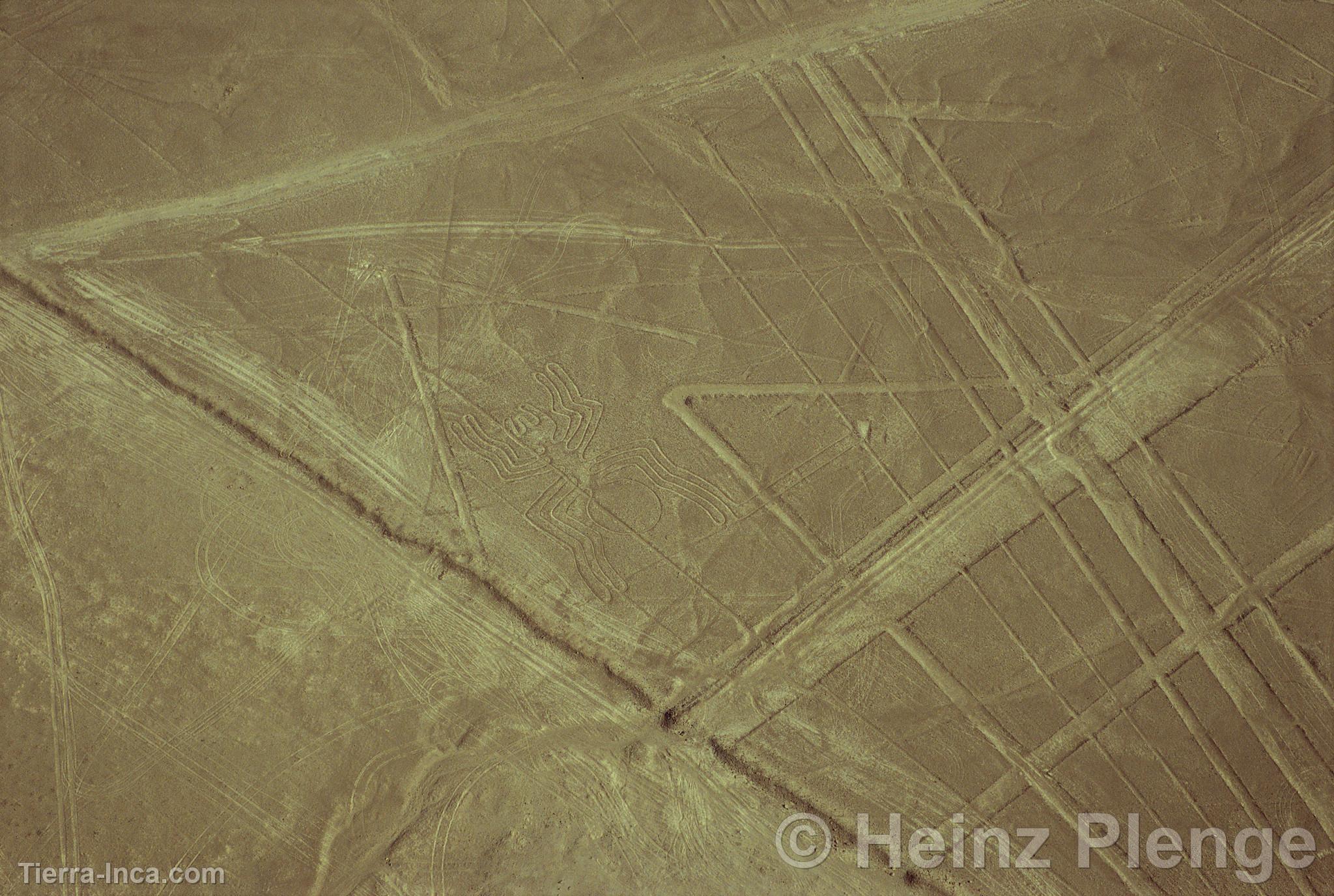 Lneas de Nazca