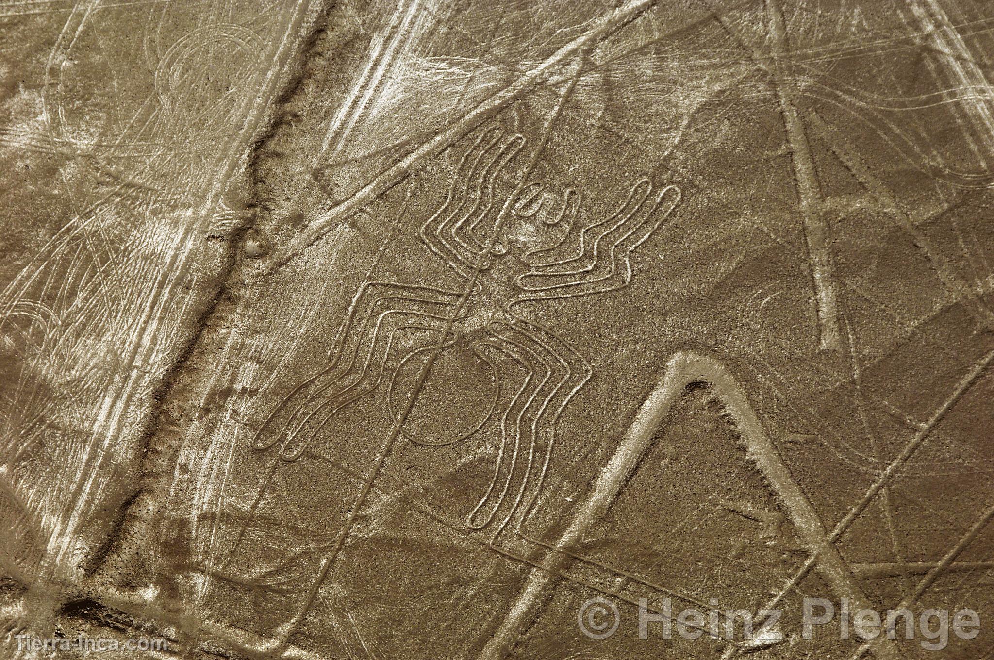 Lneas de Nazca