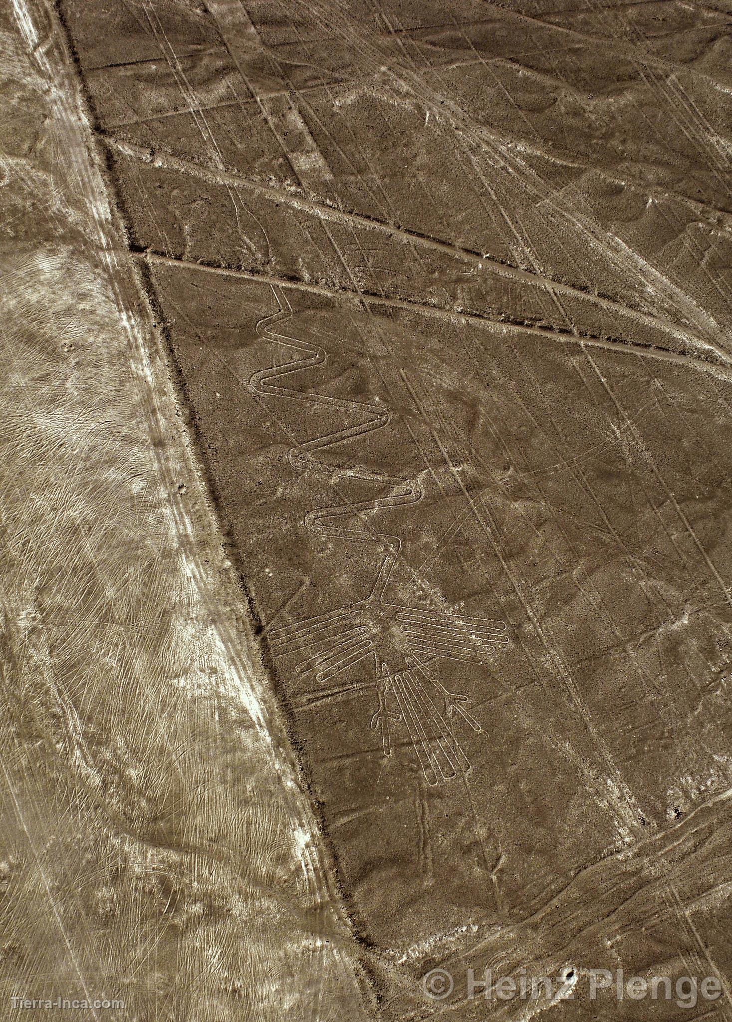 Lneas de Nazca