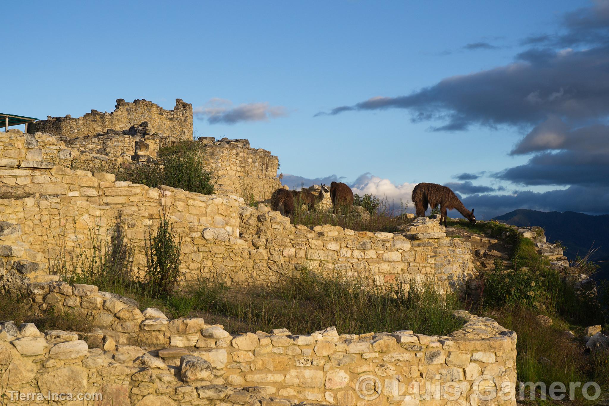 Fortaleza de Kuelap, Kulap