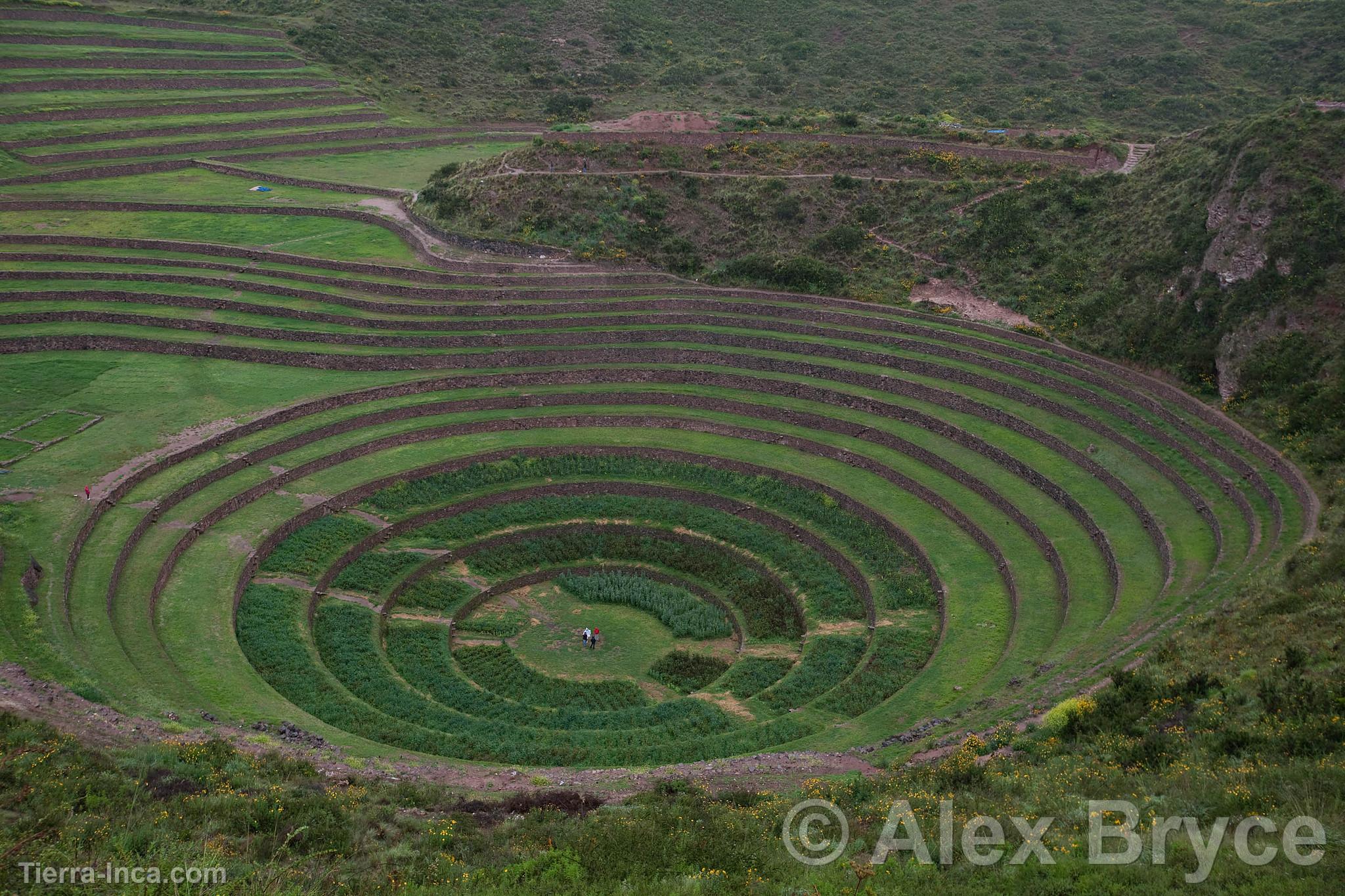 Conjunto Arqueolgico de Moray