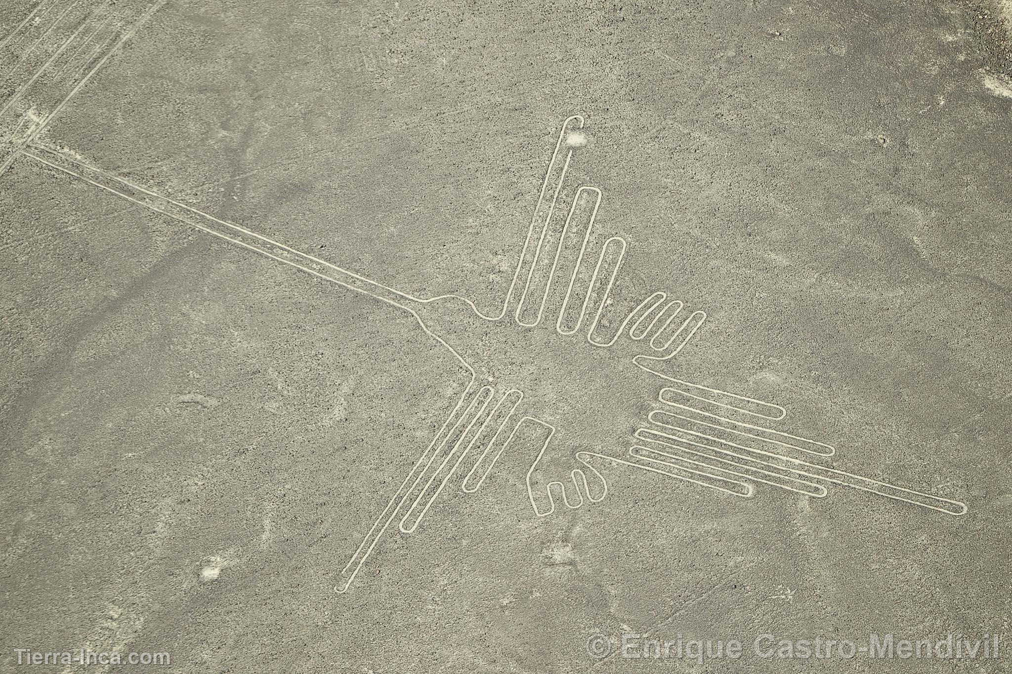 Lneas de Nazca